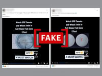 Digitally edited video falsely claims GMO crops 'swim' in saltwater