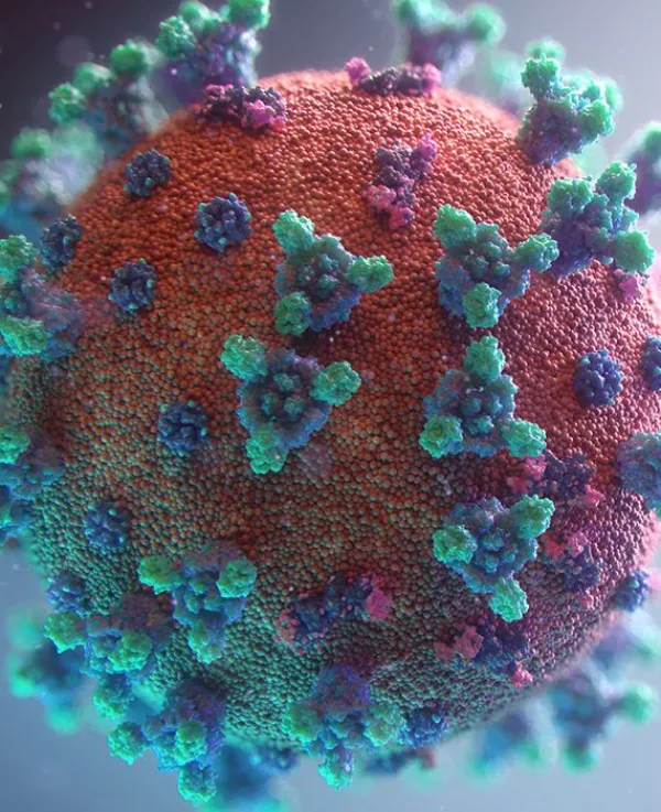 False: Heat or increase in temperature can kill Coronavirus.
