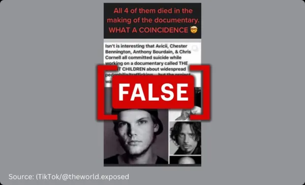 False: Avicii was murdered because he was working on a documentary to expose a global child trafficking ring.