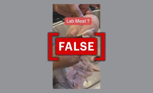 Video does not show fake or lab-grown chicken meat sold at Walmart