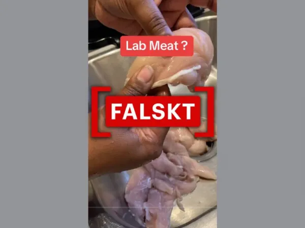 Videon visar inte falskt eller laboratorieodlat kycklingkött som säljs på Walmart