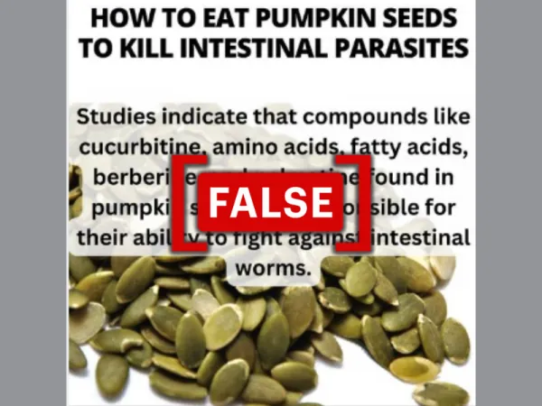 No evidence that pumpkin seeds kill intestinal parasites in humans