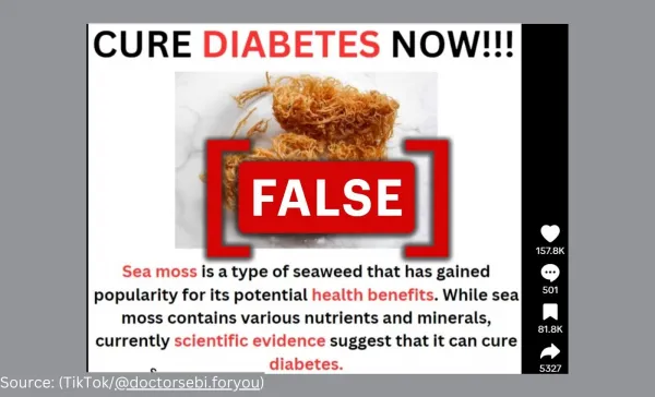 No, sea moss cannot cure diabetes