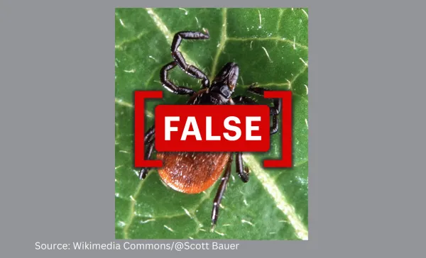 No, Lyme disease did not originate as a bioweapon