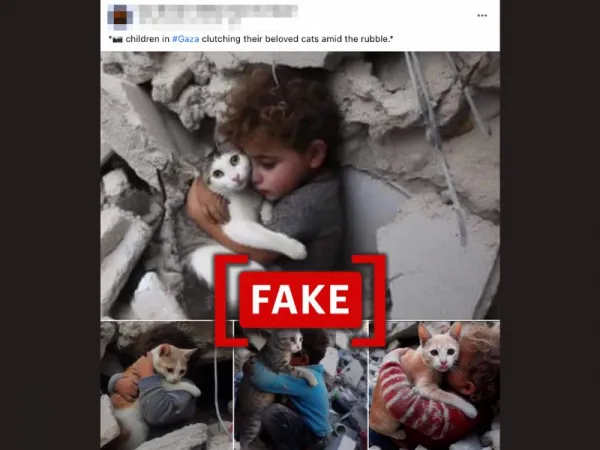 Viral images of children in Gaza holding cats are AI-generated