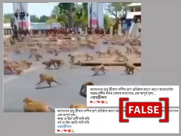 Old video from Thailand shared as monkeys heading to Ayodhya for Ram temple ceremony